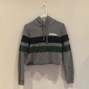 ✰ hollsiter crop hoodie